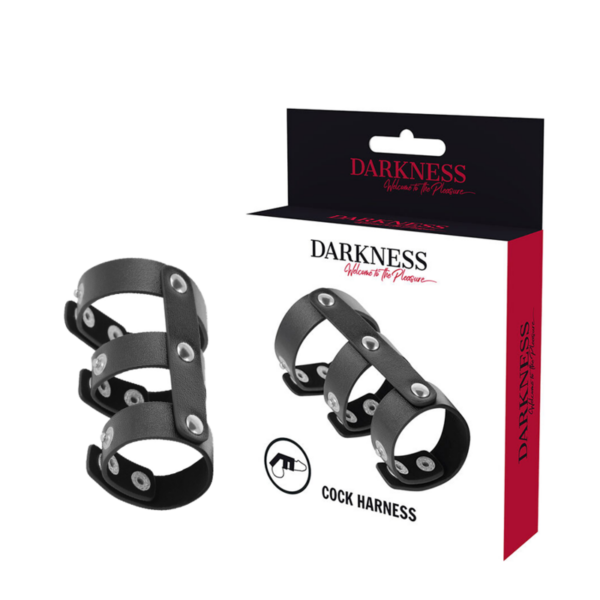 DARKNESS - ANEL DUPLO DE PÉNIS E TESTÍCULOS DE COURO AJUSTVEL